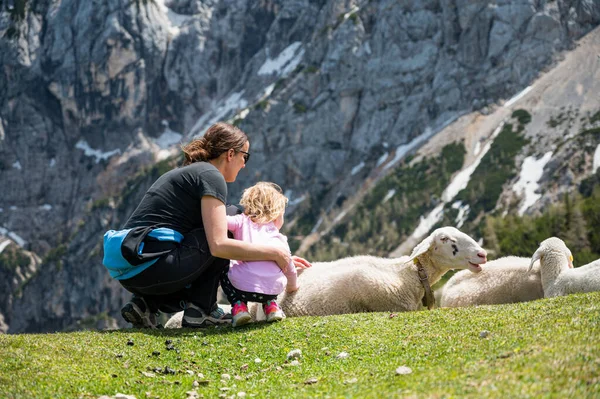 Mutter und Tochter streicheln süße Schafe auf der Bergwiese. — Stockfoto