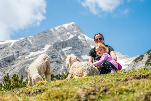 Mor och dotter petting söta får i bergsäng. — Stockfoto