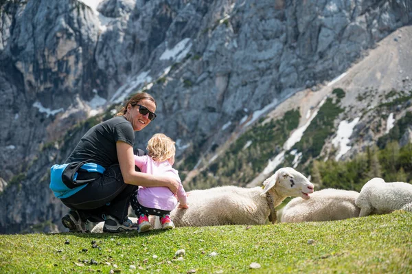 Mãe e filha acariciando ovelhas bonitos no prado da montanha. — Fotografia de Stock