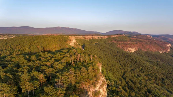Aerial view of forest gorwing right to the edge of a sheer cliff. — Stock Photo, Image