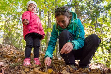 Anne ve kızı ormanda taze ceviz topluyor..