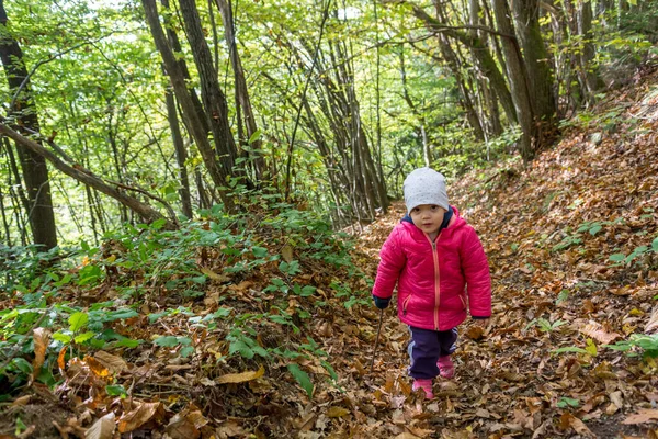Sonbahar orman yolunda gezinen tatlı kız..