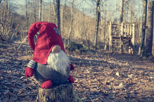 Trpasličí panenka v červeném klobouku sedící v lese. — Stock fotografie