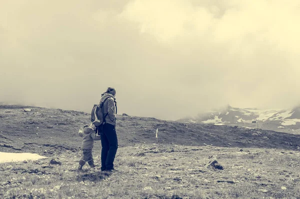 Мать и дочь путешествуют на зеленых альпийских пастбищах. — стоковое фото