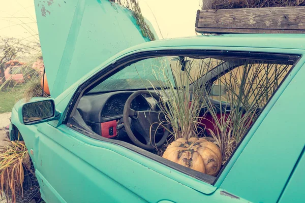 Molte pompe e piante invadono la vecchia auto all'aperto. — Foto Stock