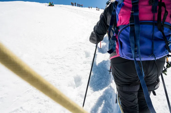 Rope team member point of view with mountaineers walking on snow and ice in sunny weather.