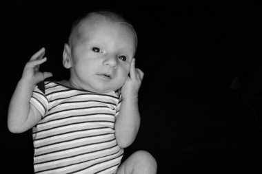 Bebek Hayden Siyah On - Üç Hafta Eski