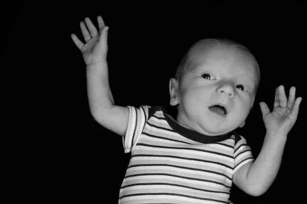 Baby Хейден на чорному-три тижні — стокове фото