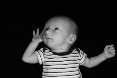 Bebek Hayden Siyah On - Üç Hafta Eski