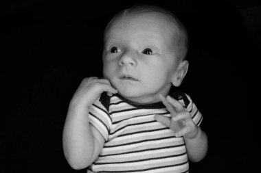 Bebek Hayden Siyah On - Üç Hafta Eski