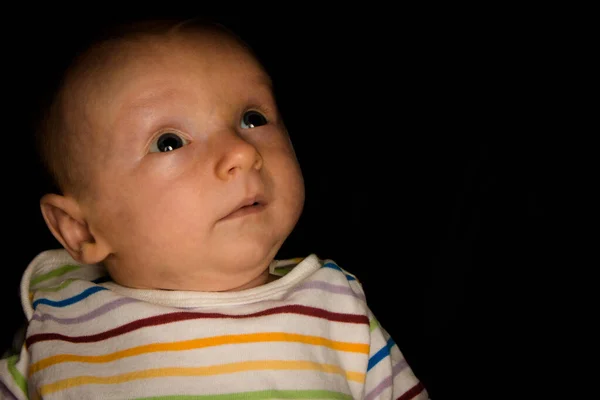 赤ちゃんヘイデンオンブラック2ヶ月古いです — ストック写真