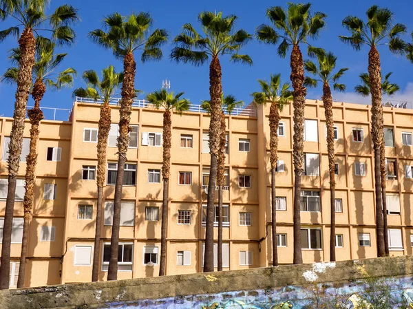 Blick auf eine Häuserzeile mit Palmenallee davor in puerto de la cruz — Stockfoto