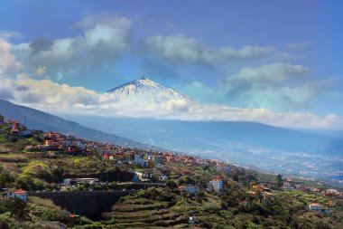 Tenerife'nin kuzeyindeki yeşil teraslı alanların karşısındaki karlı Teide manzarası