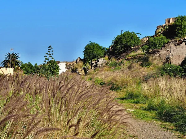カナリア島テネリフェ島北部の野生の草の風景を通るパス. — ストック写真