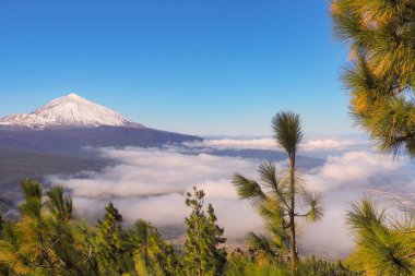  Pico El Teide Tenerife taze kar ve vadiden bulutların beyaz deniz yükselir 