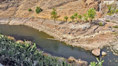   Kanarya Adası La Gomera Barranco de las Lajas