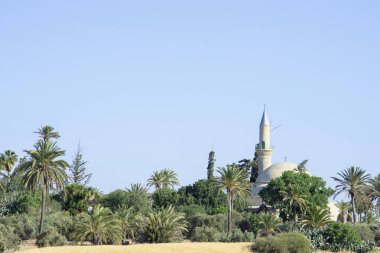 Hala Sultan Tekke Camii Kıbrıs