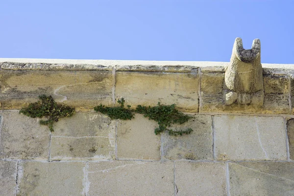 Hala Sultan Tekke Mosque na Kypru — Stock fotografie