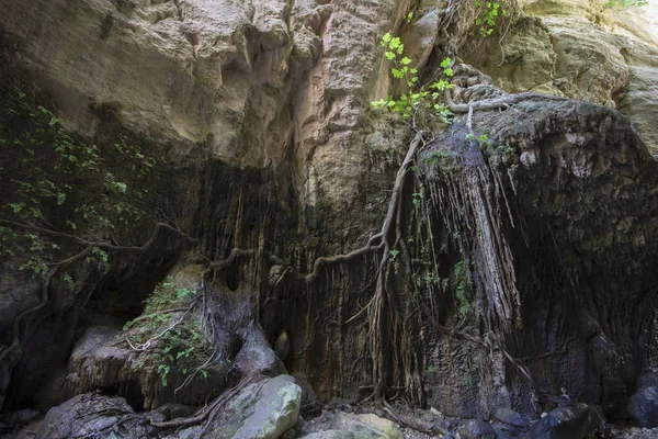 Kıbrıs'ta Avakas Gorge — Stok fotoğraf