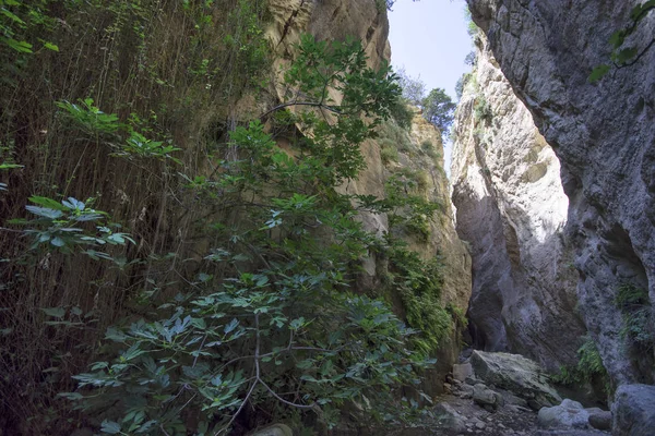 在塞浦路斯的 Avakas 峡谷 — 图库照片