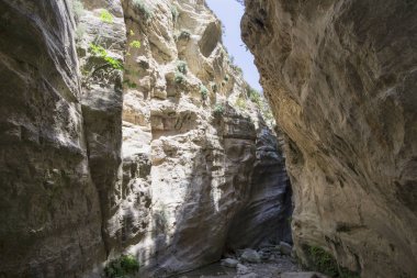 Kıbrıs'ta Avakas Gorge