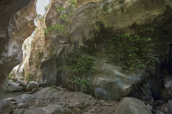 Avakas Gorge i Cypern — Stockfoto