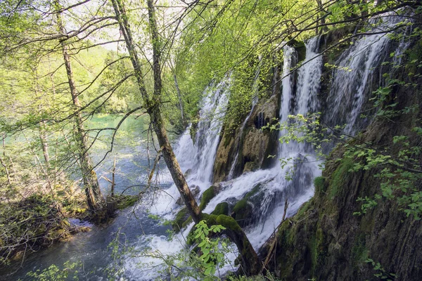 Hırvatistan 'da Plitvice Lakes Ulusal Parkı — Stok fotoğraf