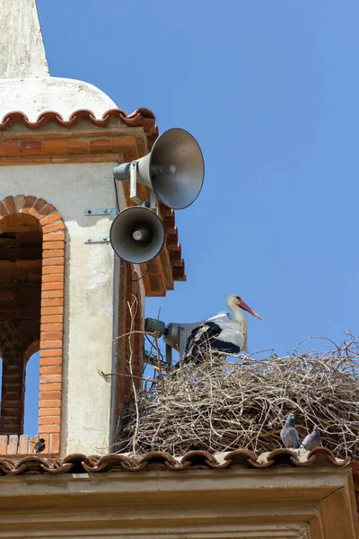Storchennest Glockenturm Von Penelles Dorf Penelles Ist Eine Gemeinde Der — Stockfoto