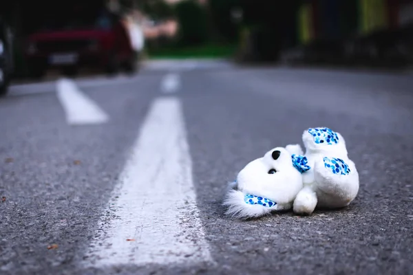 Oyuncak ayı yolun ortasında yatıyor. Üzüntü, eksik çocuk günü kavramı