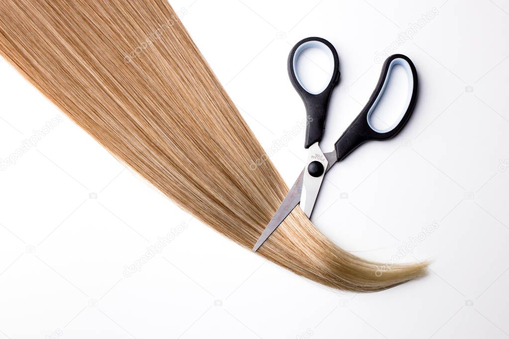 Piece of blonde hair on white isolated background with scissors