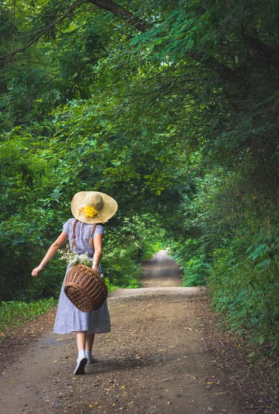 Menina lindo com caudas piggy em vestido floral azul andando na natureza — Fotografia de Stock