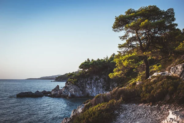 Sithonia, Yunanistan'da tepenin tepesinden güzel mavi İyon denizi.