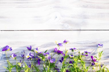 Küçük, güzel, sarı çiçekler, çimen, ahşap beyaz tahta, masa üzerinde