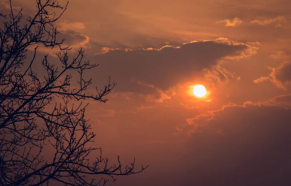 Paisaje con puesta de sol y cielo anaranjado y ramas del árbol a un lado —  Fotos de Stock