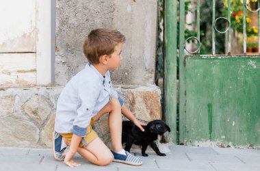 Evcil hayvanını tutan çocuk, sokakta küçük siyah köpek yavrusu.