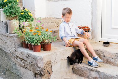 Çocuk onun köpek yavrusu ile oynarken büyükannesinin evinin merdivenlerinde dışarıda oturan