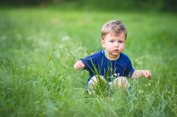 公園の草の中に座っている青いTシャツのかわいいブロンドの男の子. — ストック写真