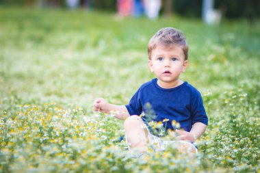 Papatya çiçekleri ile çevrili çimenlerde oturan mavi tişörtlü çocuk