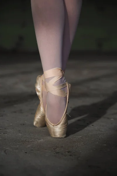 Close-up photo of ballerinas pointe shoes. Standing pose. Ballet, art — Stock Photo, Image