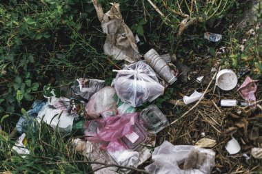 Doğada yol kenarında çöp yığını. Kirlilik, ekolojik sorunlar