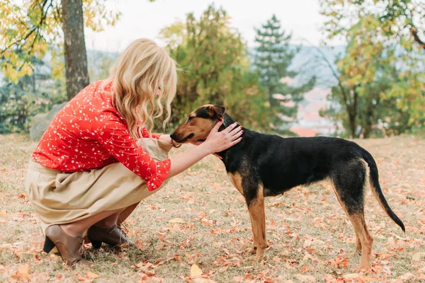 Parkta terk edilmiş köpeği okşayen bir kız. Hayvanları evlat edinme, barınak