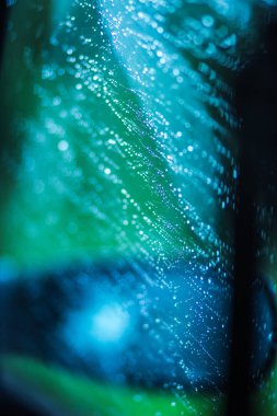 Arabanın ön camına yağmur yağıyor. Su damlaları, pencere, yağmurlu hava