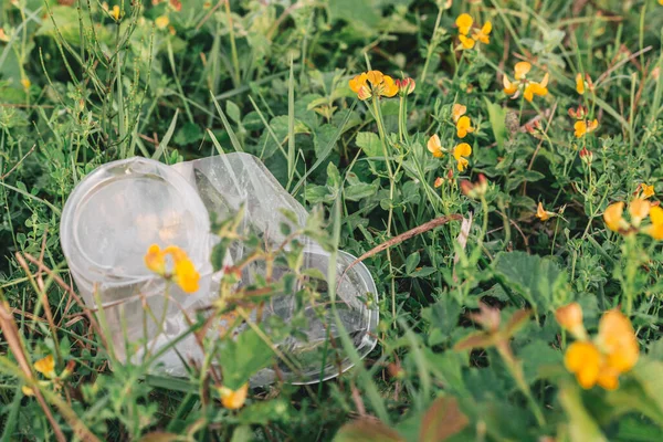 Vaciar la taza de plástico transparente en la hierba. Contaminación, cuestiones ecológicas —  Fotos de Stock