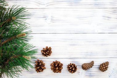 Beyaz ahşap zemin üzerinde çam dalı olan Firavun konileri.