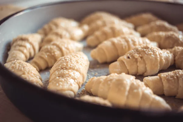 Plane full with unbaked sesame rolls. Process of making croissant rolls