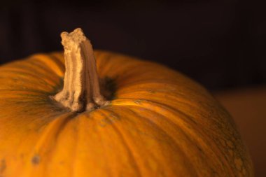Koyu arkaplanlı balkabağının yakın plan fotoğrafı. Cadılar Bayramı konsepti