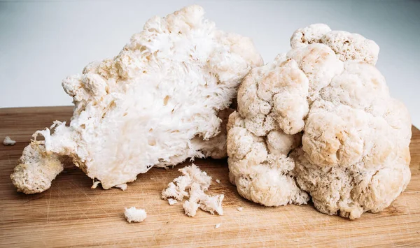 Hericium erinaceus veya Lions mane mantarını kapatın. Tıbbi mantar konsepti