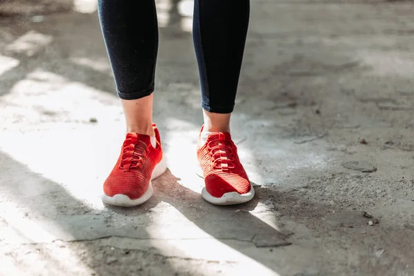 Närbild Röda Par Kvinnliga Fitness Sneakers — Stockfoto