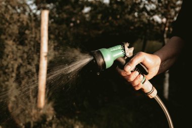 Bahçedeki bitkileri sulamak. Bahçe hortumuyla yakın plan su sıçratıyor.