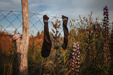 Tellerde bir çift siyah çorap. Kırsal, kırsal